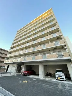 クレスト中もずの画像