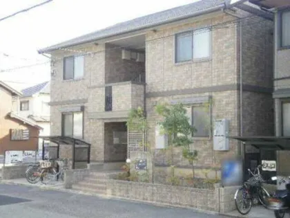 ウィルモアそらの画像