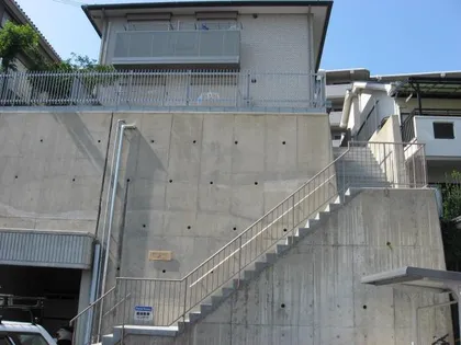 ゼフィランサスの画像