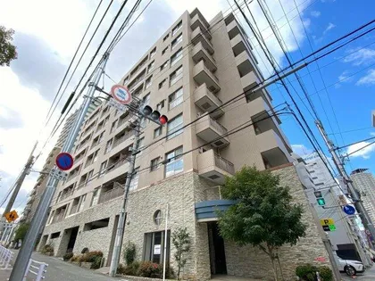 アリス・マナーガーデン谷町【2階】の外観