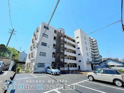 桜台ハイツ【4階】の外観