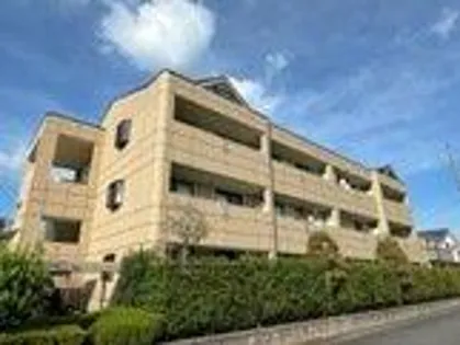 プランドールソフィアの画像