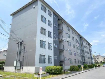 膳所ハイツ8号棟の画像