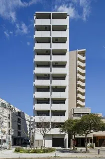 ルアナ スザキの画像