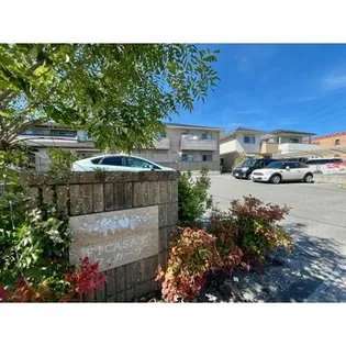 フィカーサKの画像