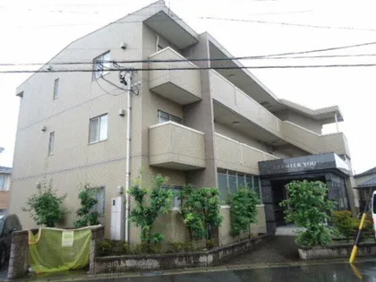 PREMIER YOUの画像