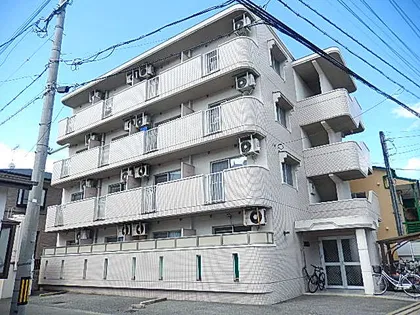 エクセル大橋の画像
