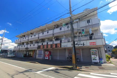 プラザワイズ【313号室】の外観