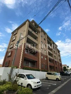 アクシスの画像