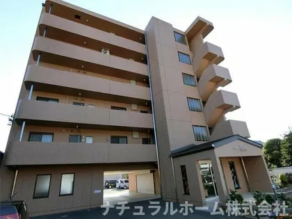 SUN CRYSTALの画像