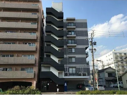 エステイタスAS-17【4階】の外観