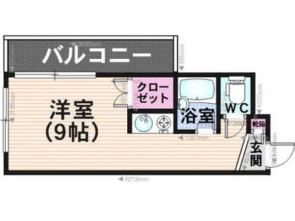 ソミュール大橋【102号室】の間取り