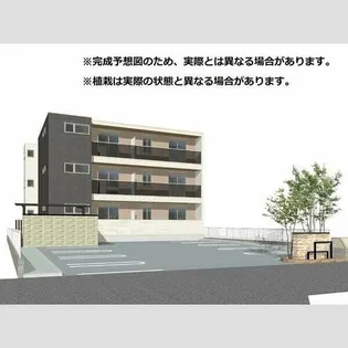セイグレイスの画像