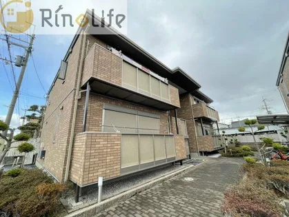 クリサンテームの画像