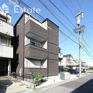 シャインスターの画像