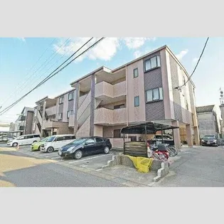 セントポーリア サウスの画像