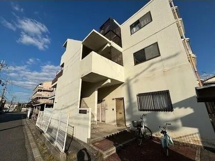 ハイムトノキの画像