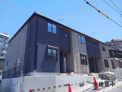 グローリア ヒデ Bの画像