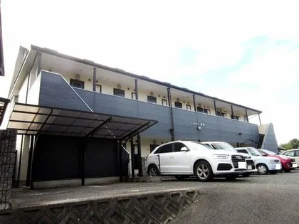 レンパレス流木の画像