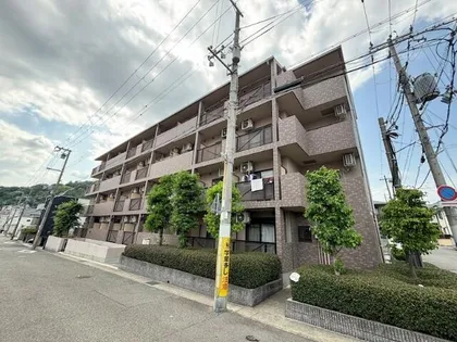 セリテ板宿の画像