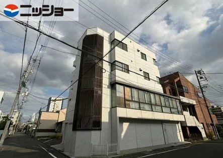 ワカヤマビルの画像