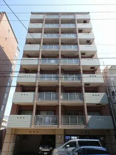 ダイナコートエスタディオサラの画像