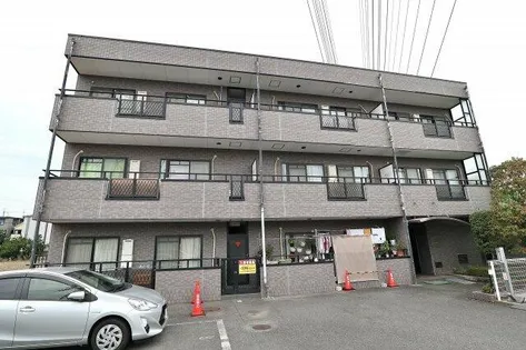 ミレニアムニシムラの画像