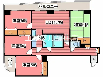 コーポラススプレンダー【11階】の間取り