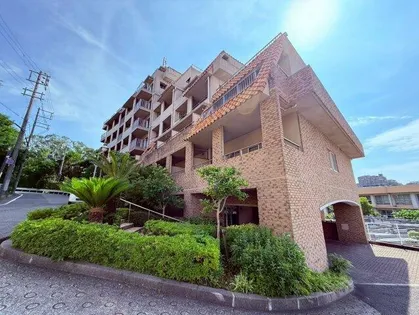 ジュリオ朝霧の画像