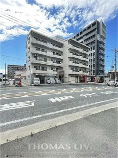 クレベール紅梅の画像