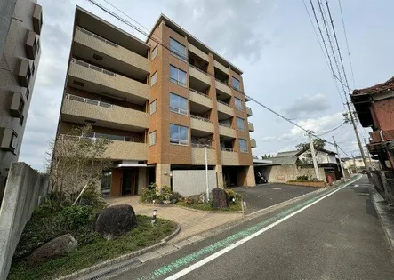 コントレール桜の画像