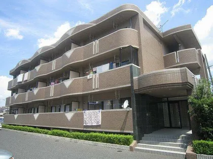 セルフィ Tの画像