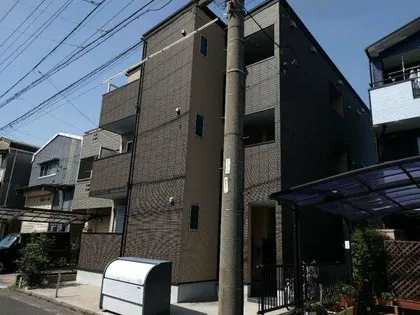 シャインスターの画像