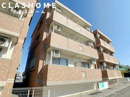 シーズンの画像