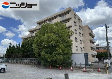 丸文ハイツの画像