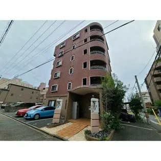 BLOIS アムールの画像