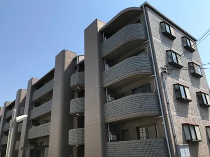 サンシャトゥーの画像