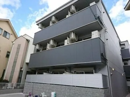 ディアンサス立花の画像