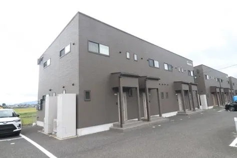 NEW LIFE STORK17の画像