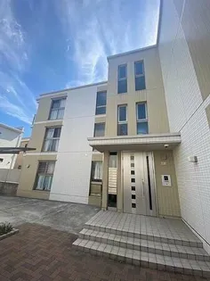 ステラZENの画像