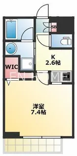 ドムール難波【203号室】の間取り