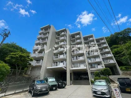 岡本エクセルの画像