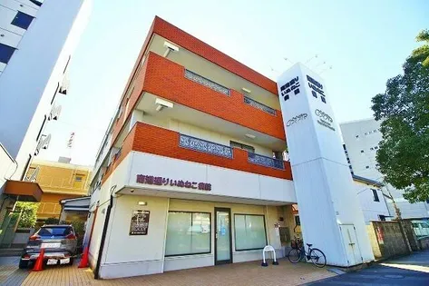 第IIコーポリーブルの画像