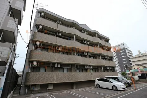 グレイス筒井の画像