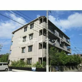 サンライズ タケソウの画像