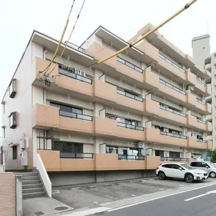 ファミールT Jの画像