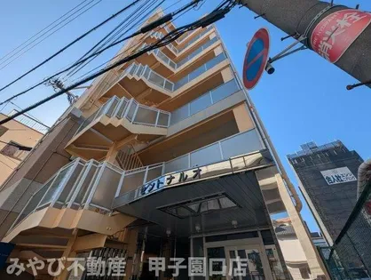セントナルオの画像