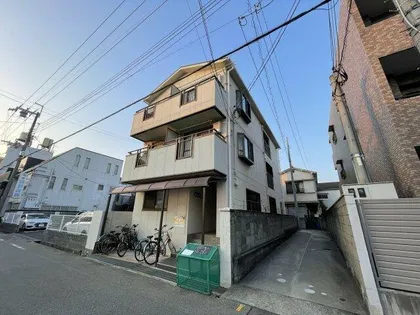 グレースの画像