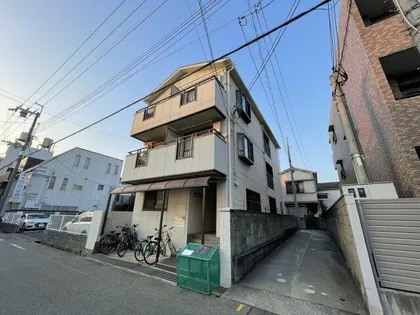 グレースの画像