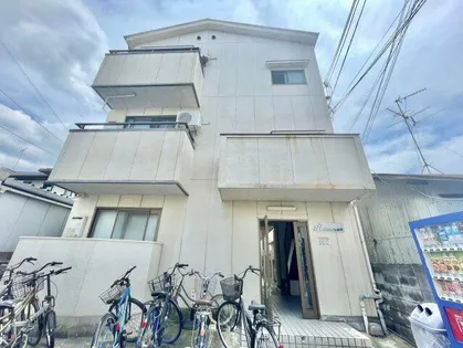 RINON東山本の画像